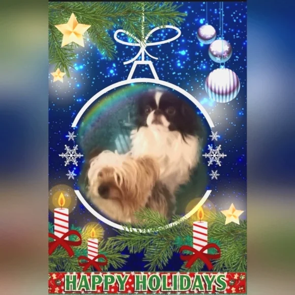 🍬🕯🎄"Happy Holidays!"🎄🕯🍬 - Picture 3 of 16